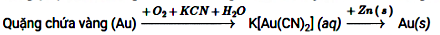 Hình câu 13