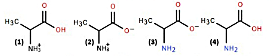 Hình câu 16