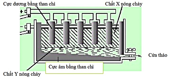 Hình câu 21