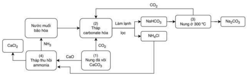 Hình câu 20