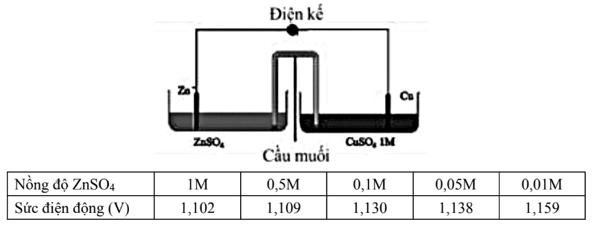 Hình câu 19