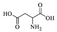 Hình câu 24