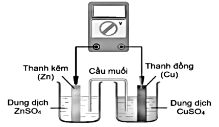 Hình câu 19