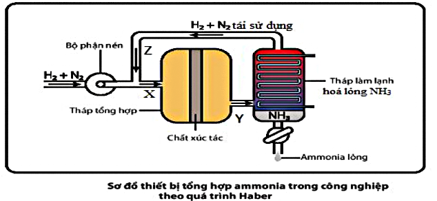 Hình câu 21