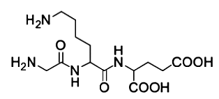 Hình câu 19