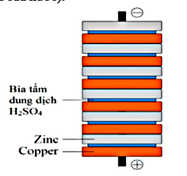 Hình câu 21