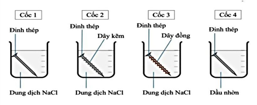 Hình câu 26
