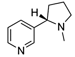 Hình câu 27