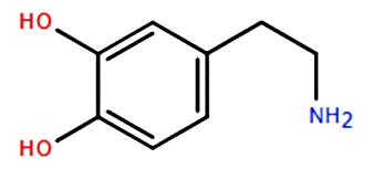 Hình câu 24