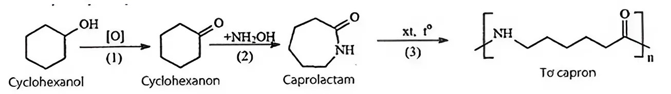 Hình câu 24