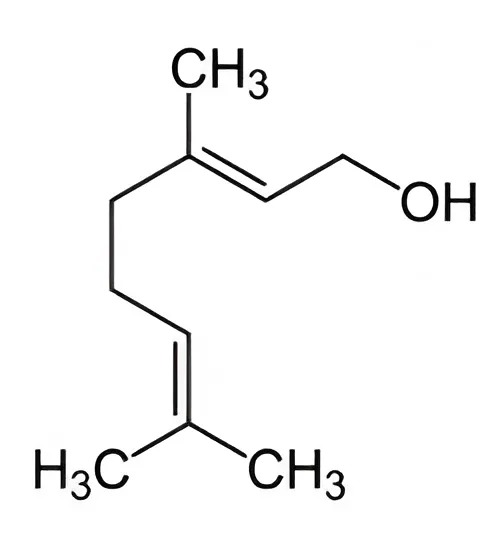 Hình câu 21