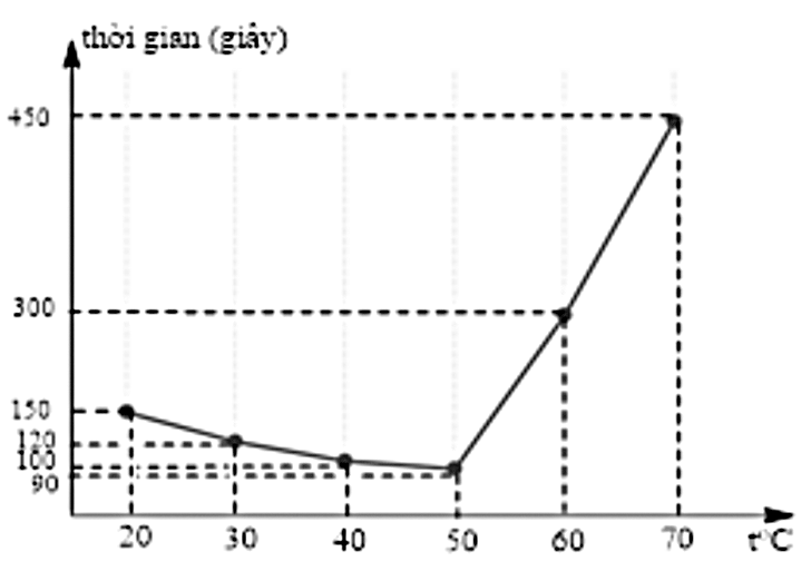 Hình câu 21