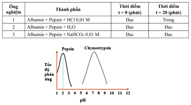 Hình câu 20