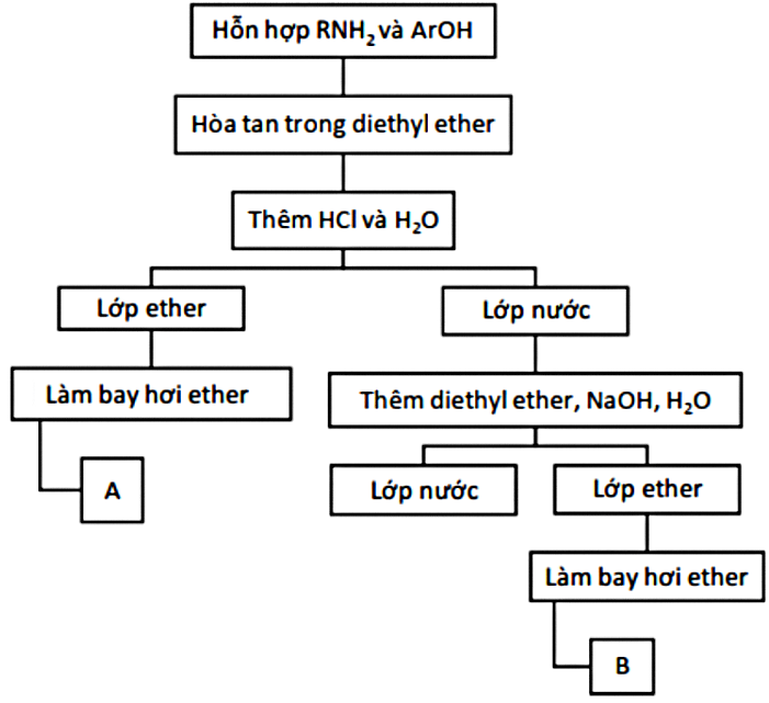 Hình câu 22