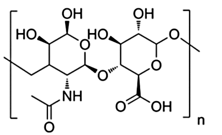 Hình câu 25