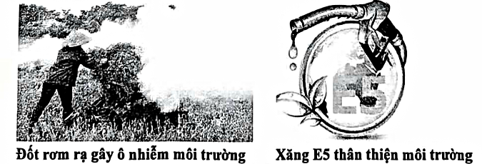Hình câu 23
