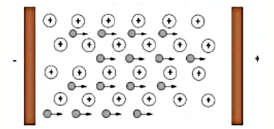 Hình câu 4