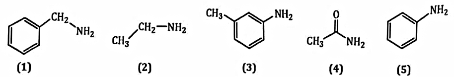 Hình câu 7