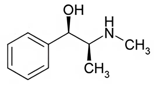 Hình câu 19