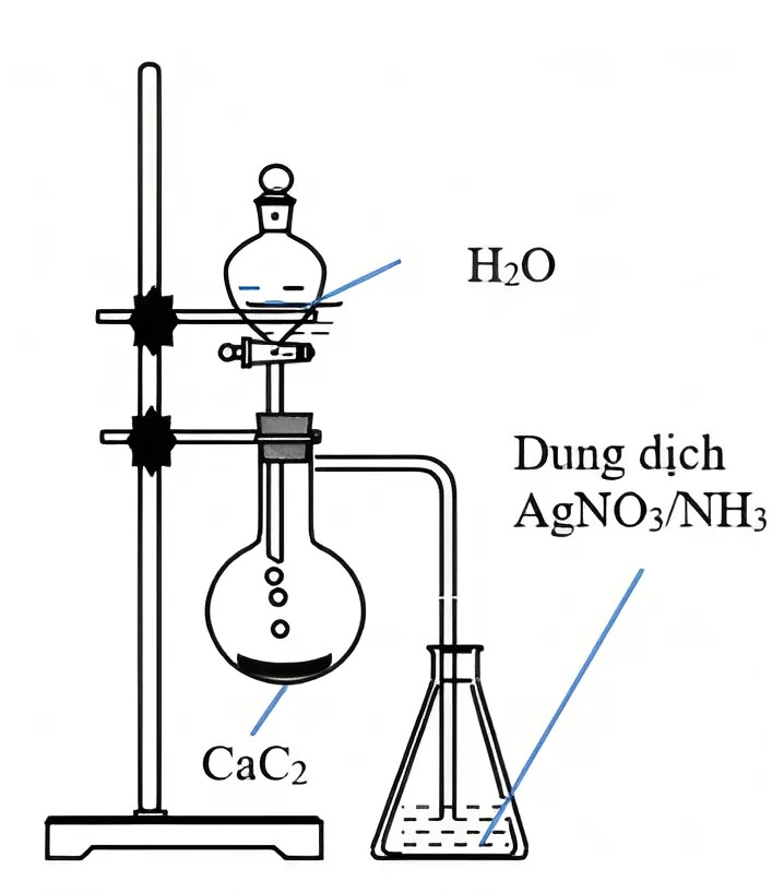 Hình câu 12