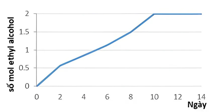 Hình câu 19