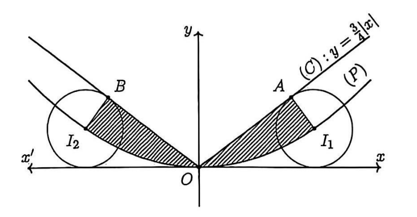 Hình câu 22
