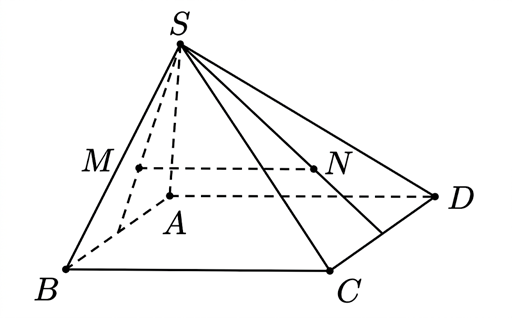 Hình câu 8