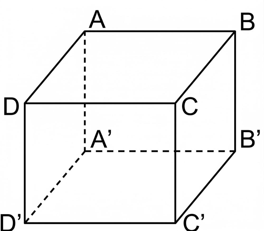 Hình câu 4