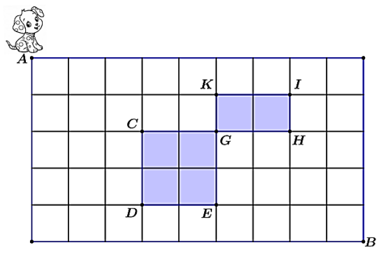 Hình câu 21