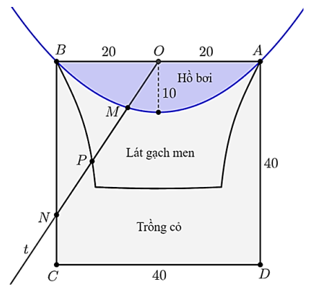 Hình câu 22