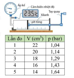 Hình câu 19