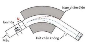 Hình câu 20
