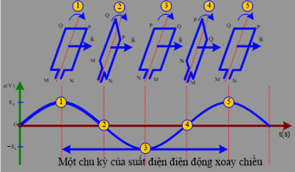 Hình câu 18