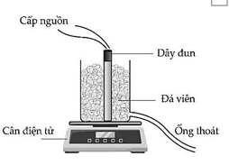 Hình câu 20
