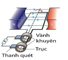 Hình câu 22