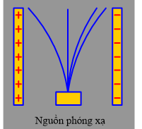 Hình câu 9