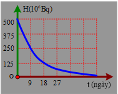 Hình câu 23