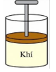 Hình câu 12