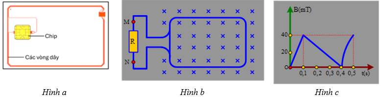 Hình câu 28