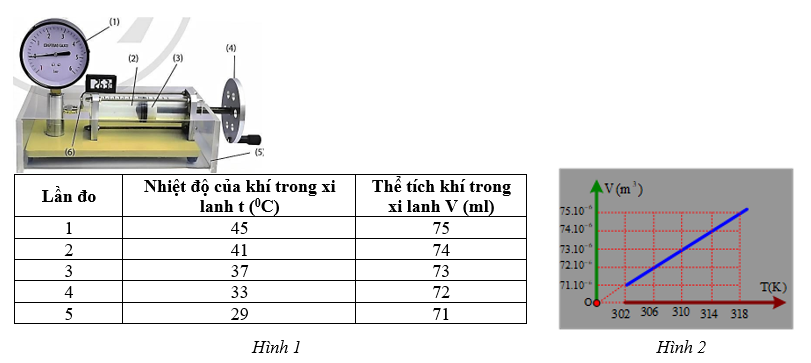 Hình câu 20