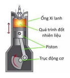 Hình câu 25