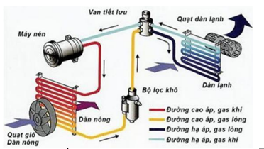 Hình câu 9