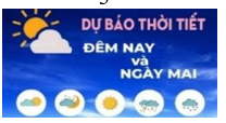 Hình câu 2