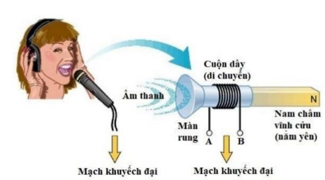 Hình câu 22