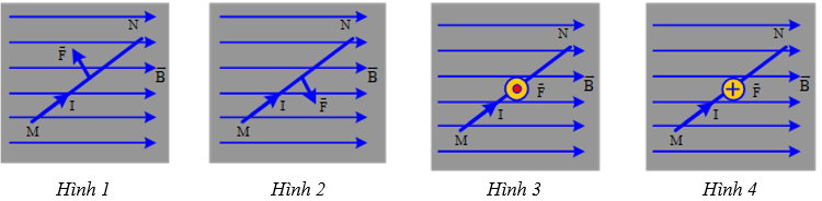 Hình câu 10