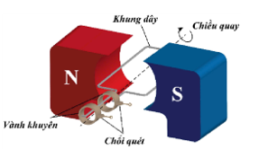 Hình câu 19