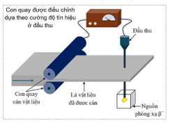 Hình câu 21