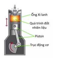 Hình câu 23