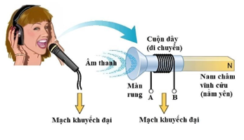 Hình câu 20