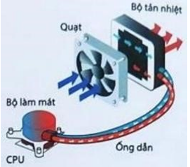 Hình câu 24